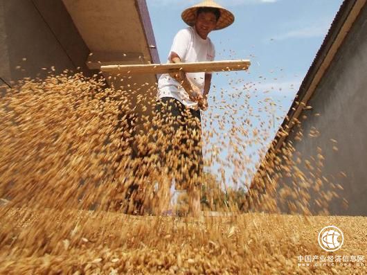 國家發(fā)改委12年首次下調小麥最低收購價(jià)格