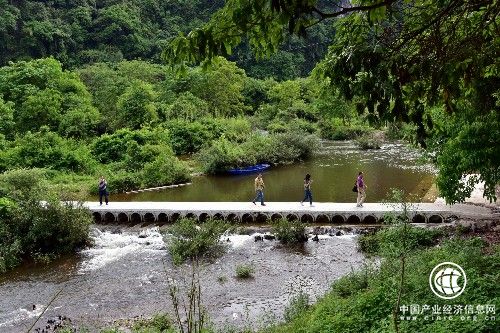 中國將啟動(dòng)大規模國土綠化行動(dòng)