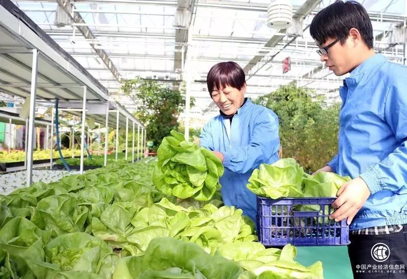 農業(yè)部與北京市簽署合作協(xié)議 共建北京農產(chǎn)品綠色優(yōu)質(zhì)安全示范區