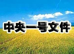 今年“一號文件”含金量高 “三重”涉及多個(gè)產(chǎn)業(yè)機會(huì )