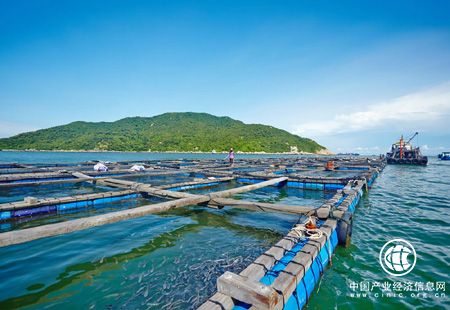 數據顯示今年一季度我國海洋經(jīng)濟開(kāi)局良好