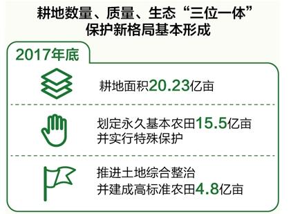 數量、質(zhì)量、生態(tài)協(xié)同 耕地保護新格局基本形成