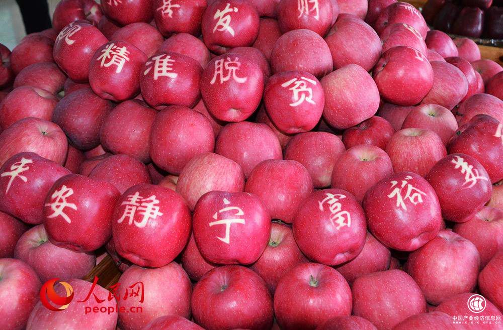 走基層調研：發(fā)展蘋(píng)果產(chǎn)業(yè)成為甘肅靜寧農民打贏(yíng)脫貧攻堅戰的利器