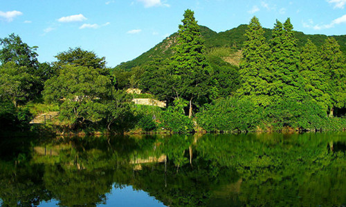 不變，力度：不減！藍天、碧水、凈土保衛戰再發(fā)力