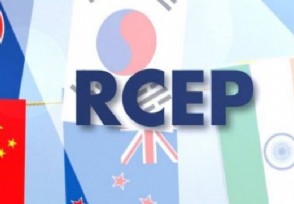 履約準備完成85% RCEP落地加速推進(jìn)