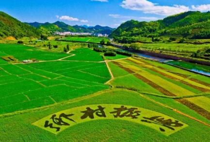 政府工作報告提出：全面實(shí)施鄉村振興戰略,促進(jìn)農業(yè)穩定發(fā)展和農民增收